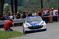 1 Peugeot 207 S2000 P.Andreucci - A.Andreussi (39)